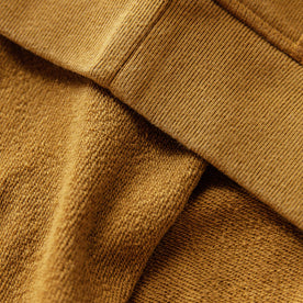 The Fillmore Hoodie in Saffron Terry: Alternate Image 6