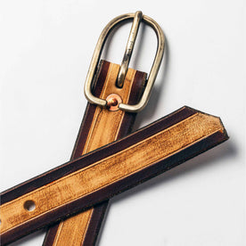 studio shot of The Stitched Belt in Cortado—material and buckle shot