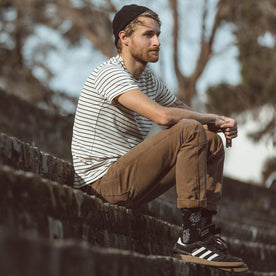 Fit model