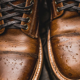 The Moto Boot in Whiskey Eagle: Alternate Image 6