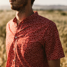 Our fit model in a field